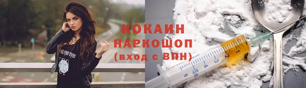 прущие грибы Богданович