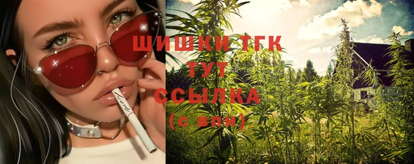 прущие грибы Богданович