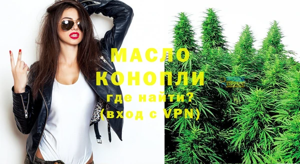 дживик Богородск