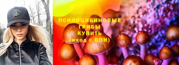 прущие грибы Богданович