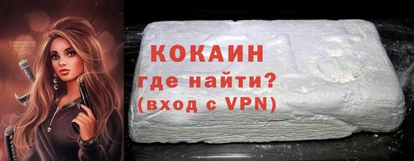 прущие грибы Богданович
