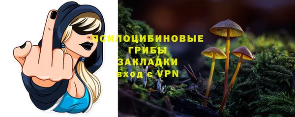 дживик Богородск