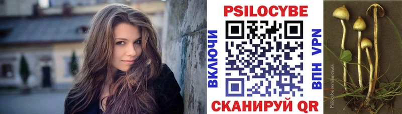 Псилоцибиновые грибы Psilocybe  Среднеуральск 
