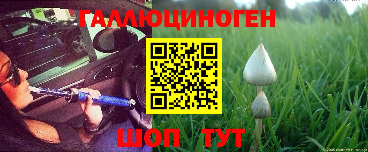 Галлюциногенные грибы GOLDEN TEACHER Среднеуральск